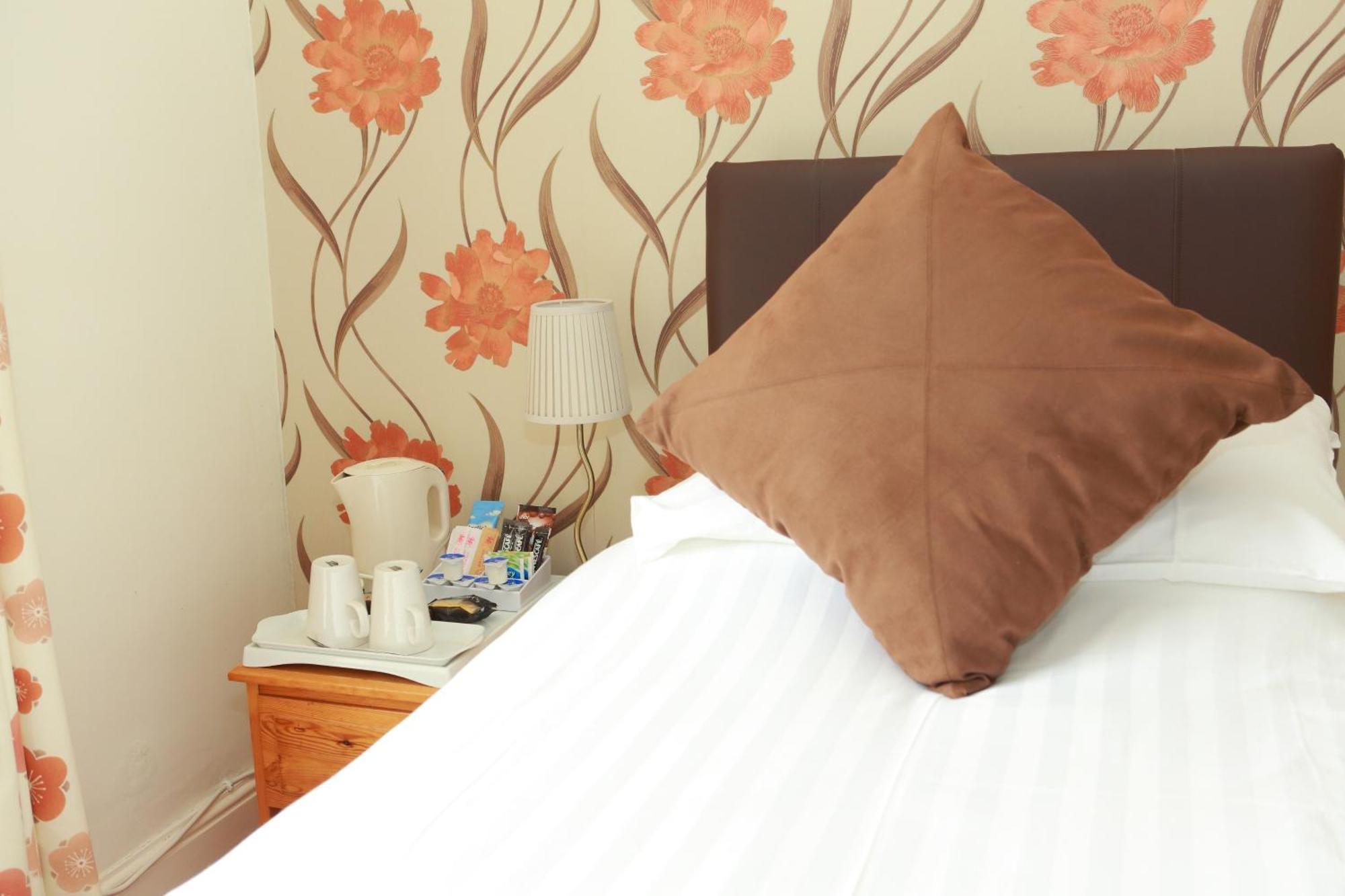 The Dolgoch Bed & Breakfast Bryn-crug Ruang foto