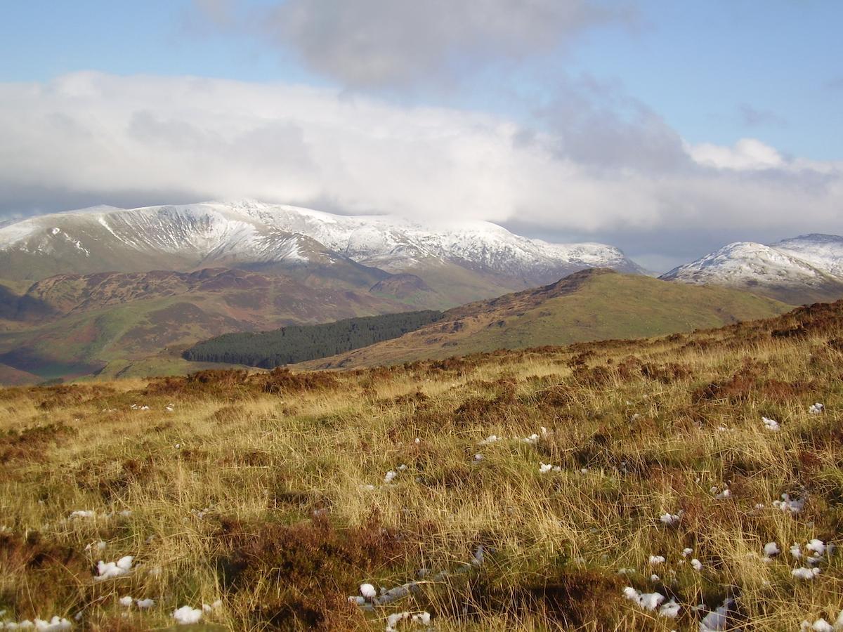 The Dolgoch Bed & Breakfast Bryn-crug Bagian luar foto