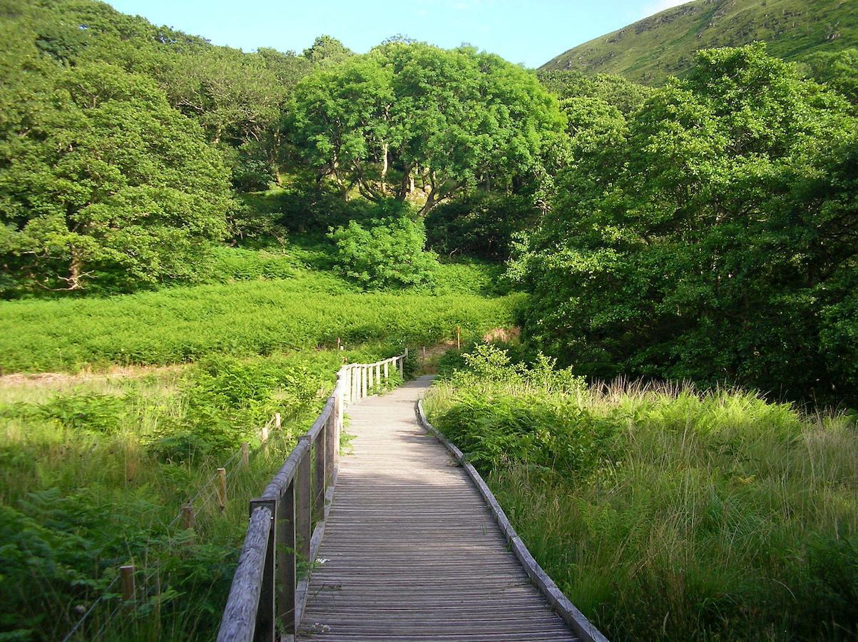The Dolgoch Bed & Breakfast Bryn-crug Bagian luar foto